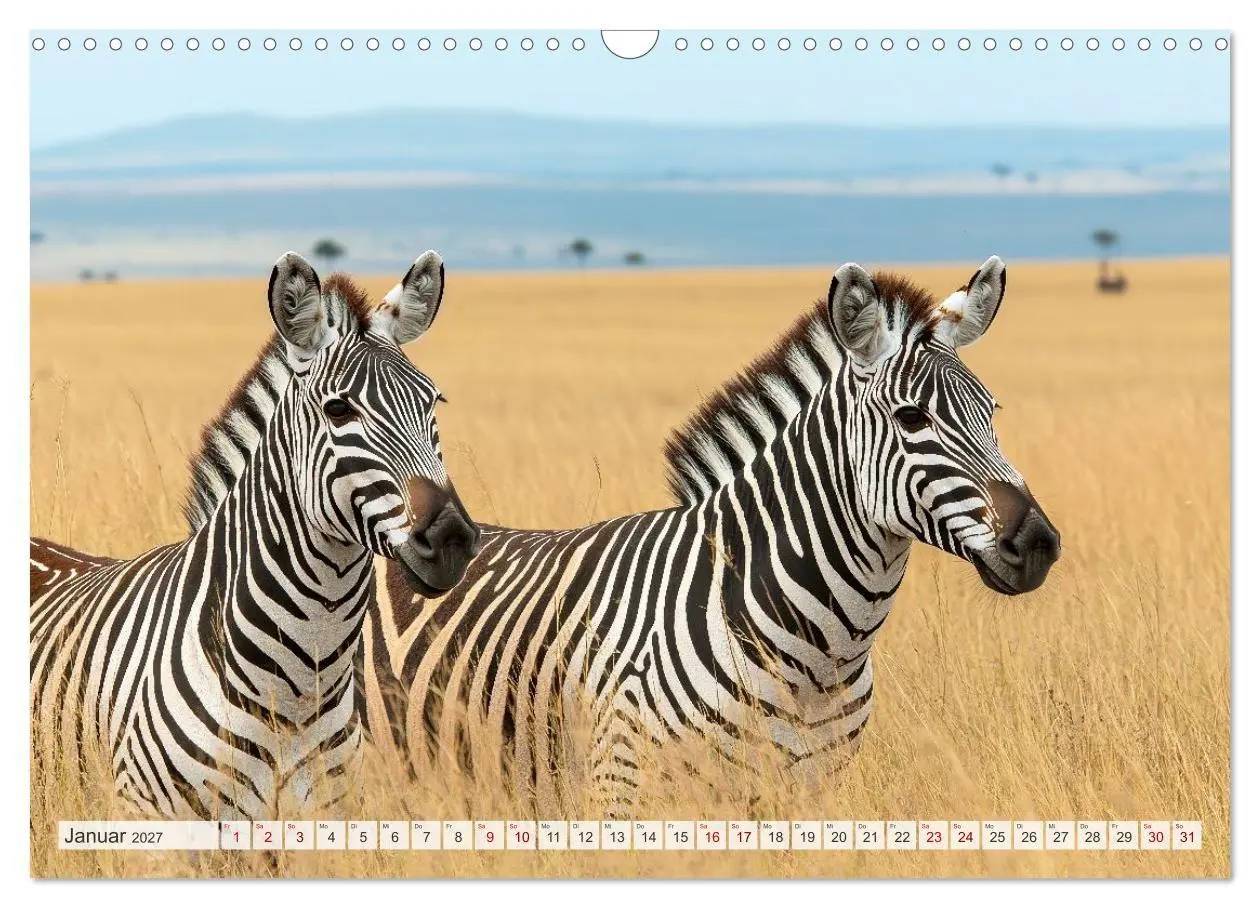 Bild: 9783516950922 | TIERWELT AFRIKA Faszination Wildnis (Wandkalender 2027 DIN A3...