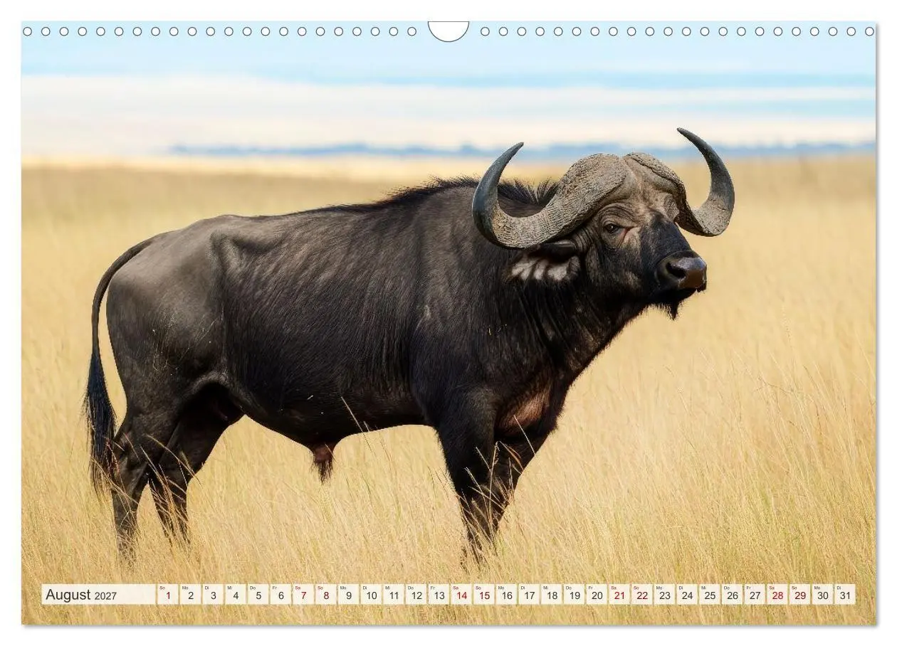 Bild: 9783516950922 | TIERWELT AFRIKA Faszination Wildnis (Wandkalender 2027 DIN A3...