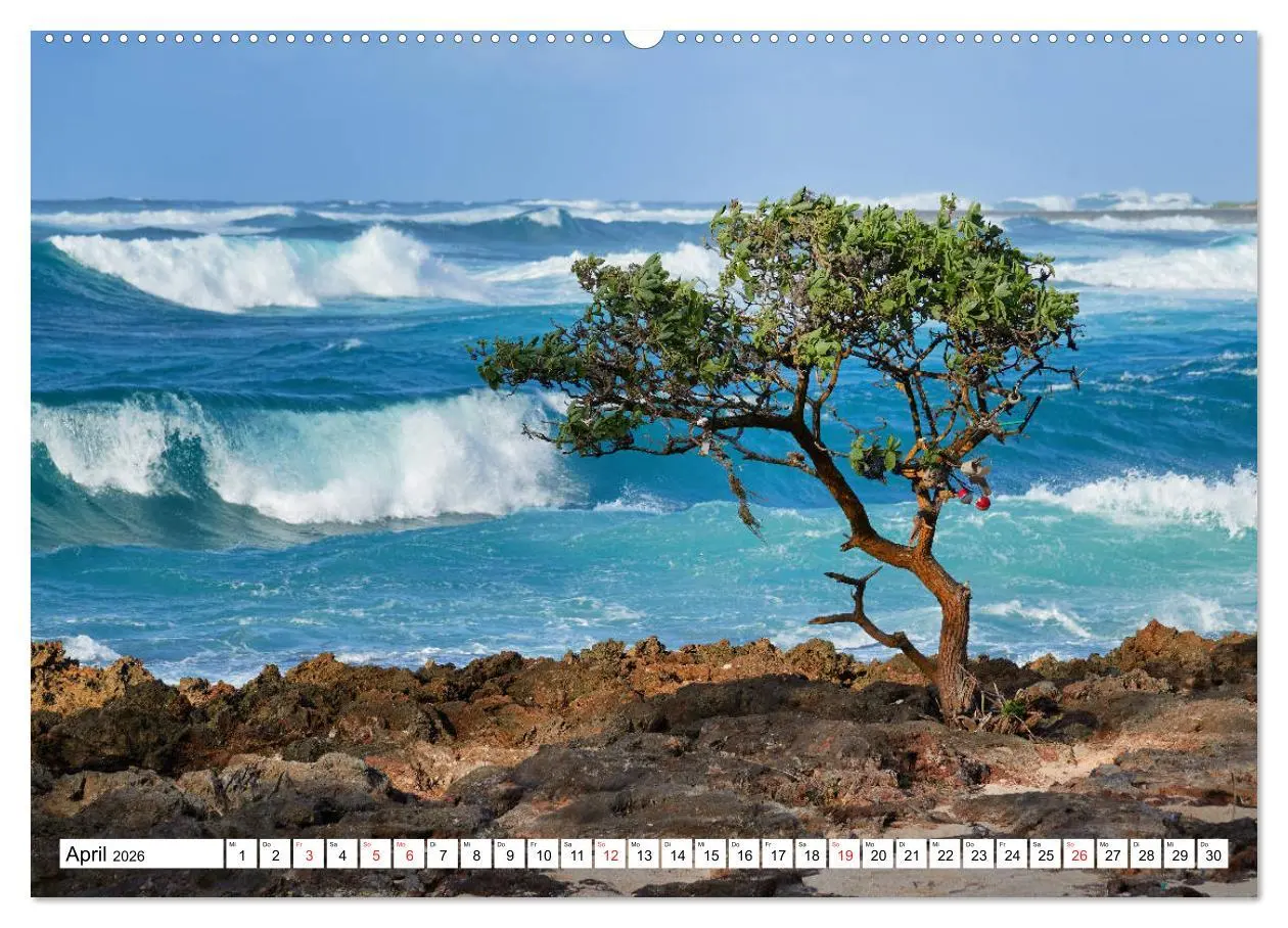Bild: 9783457681022 | Hawaii - Vulkan- und Inselparadies im Pazifik (hochwertiger Premium...