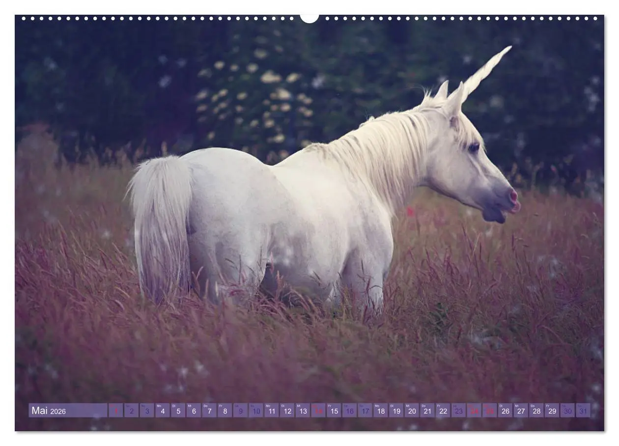 Bild: 9783457821022 | Einhorn Love - Fantasiewelt (Wandkalender 2026 DIN A2 quer),...