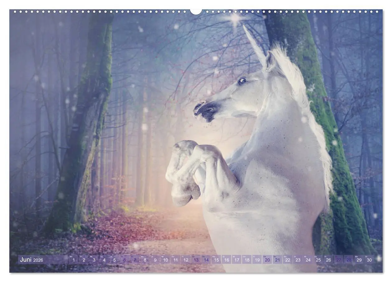 Bild: 9783457821022 | Einhorn Love - Fantasiewelt (Wandkalender 2026 DIN A2 quer),...