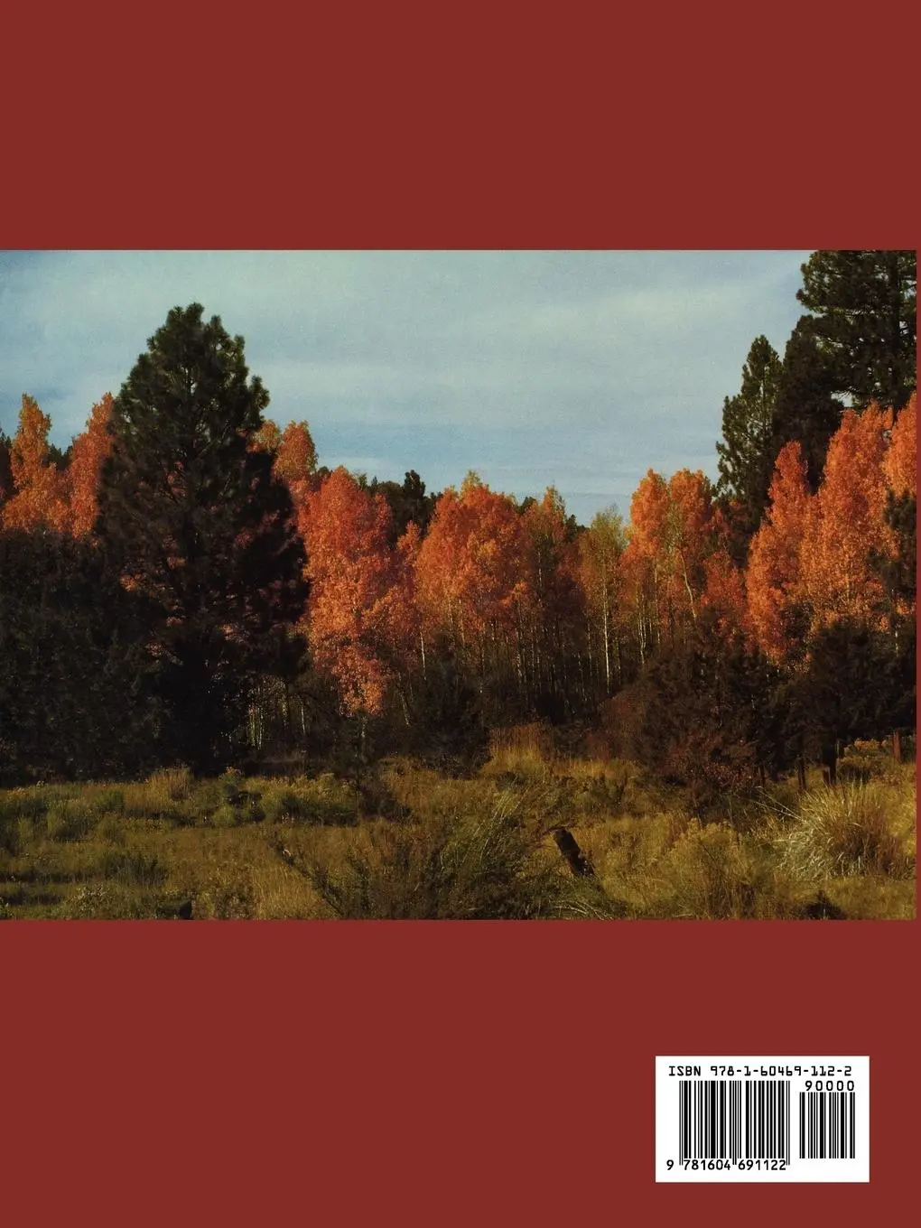 Rückseite: 9781604691122 | Seeds of Woody Plants in North America | James A. Young (u. a.) | Buch
