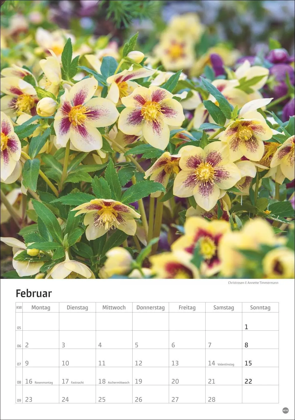 Bild: 9783756411122 | Gartenzauber Kalender 2026 | Heye | Kalender | Spiralbindung | 13 S.