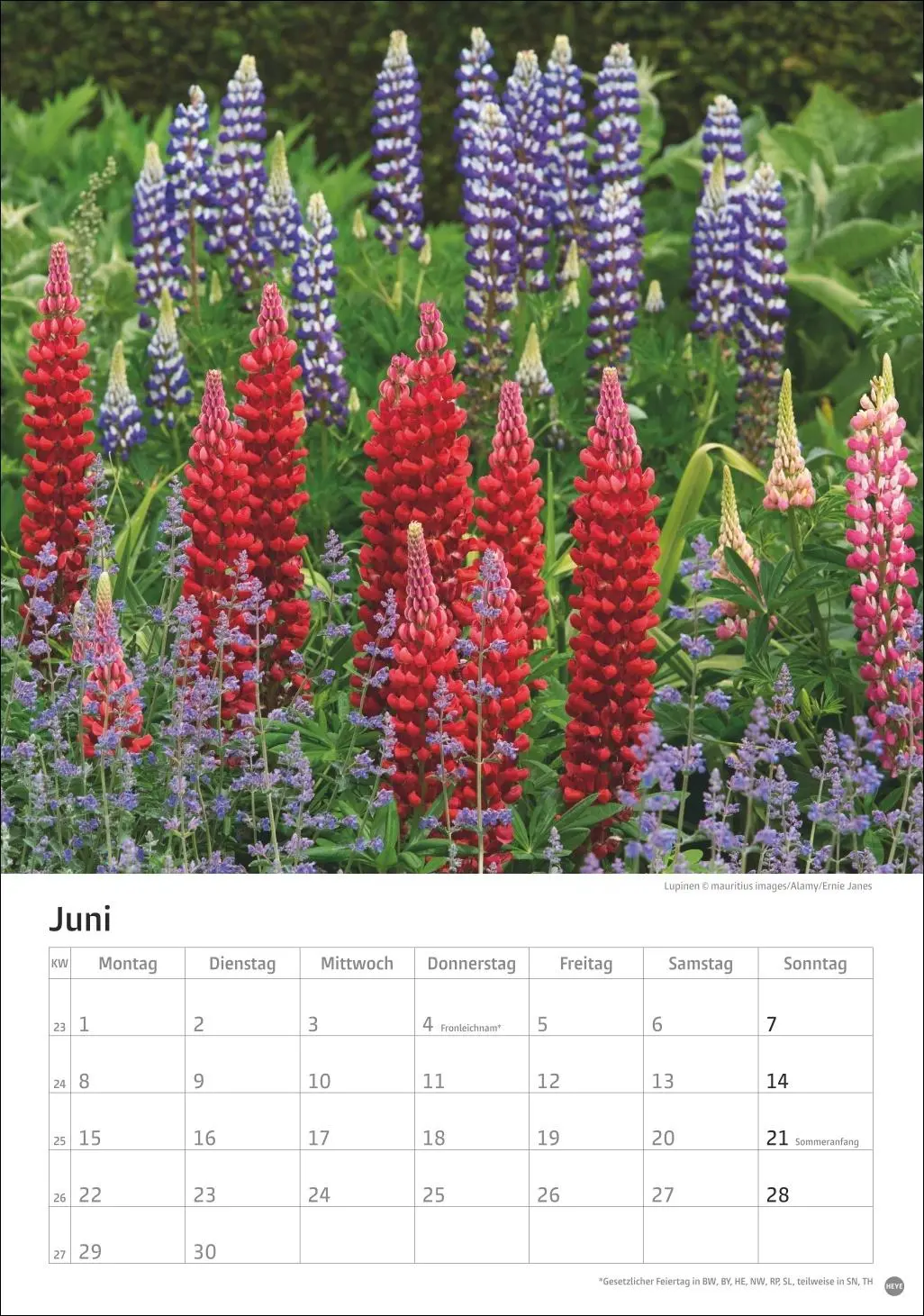 Bild: 9783756411122 | Gartenzauber Kalender 2026 | Heye | Kalender | Spiralbindung | 13 S.