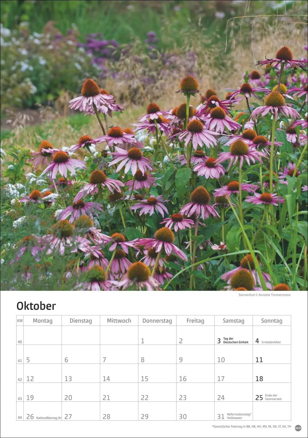 Bild: 9783756411122 | Gartenzauber Kalender 2026 | Heye | Kalender | Spiralbindung | 13 S.