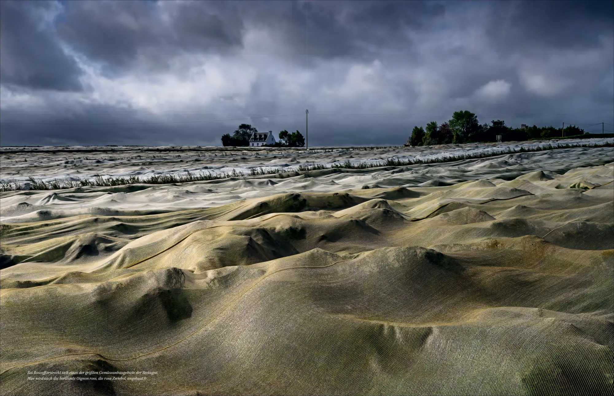 Bild: 9783987011122 | Bretagne | 50 unvergessliche Entdeckungen zwischen Land und Meer