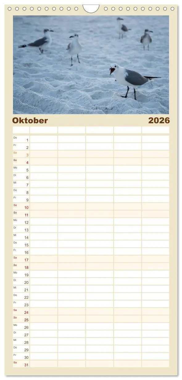 Bild: 9783516511222 | Familienplaner 2026 - Möwen am Meer mit 5 Spalten (Wandkalender, 21...