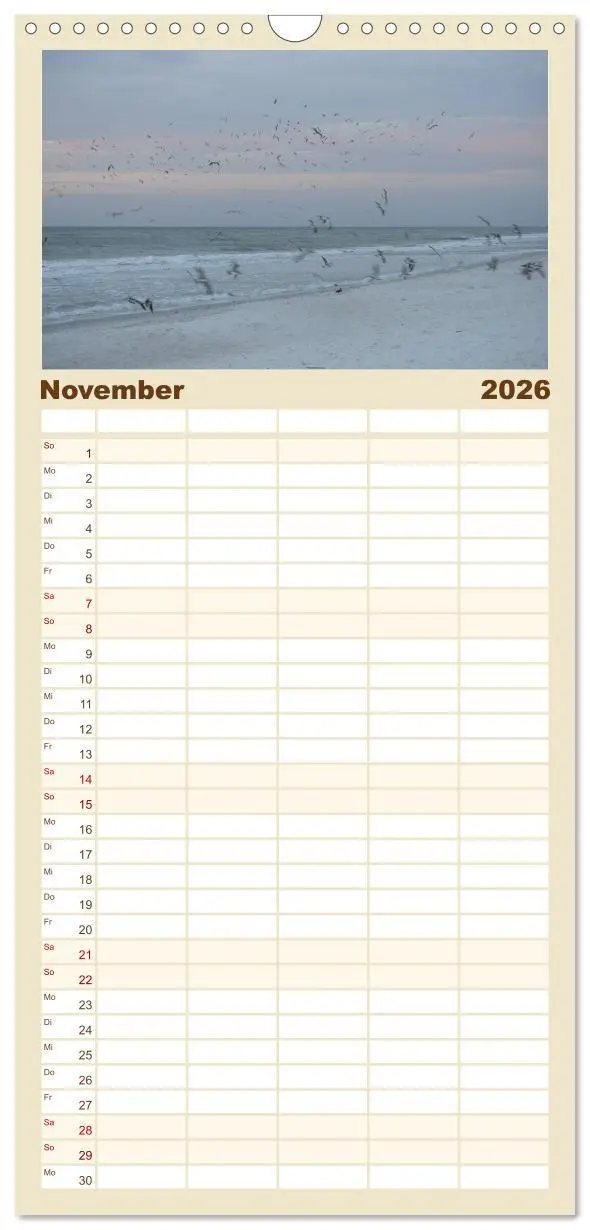 Bild: 9783516511222 | Familienplaner 2026 - Möwen am Meer mit 5 Spalten (Wandkalender, 21...