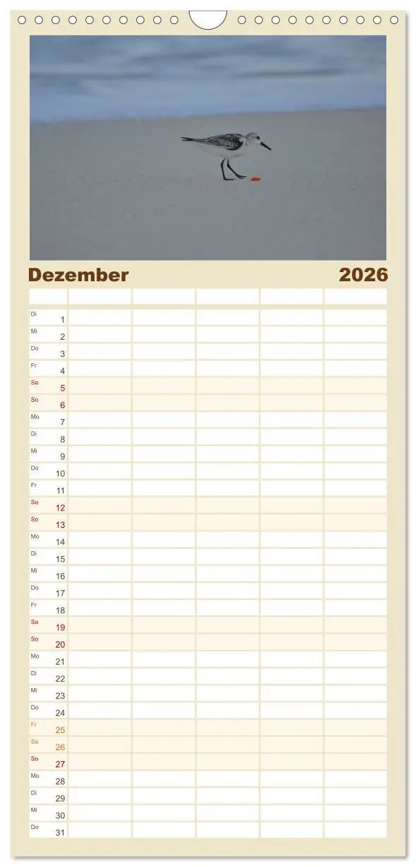Bild: 9783516511222 | Familienplaner 2026 - Möwen am Meer mit 5 Spalten (Wandkalender, 21...