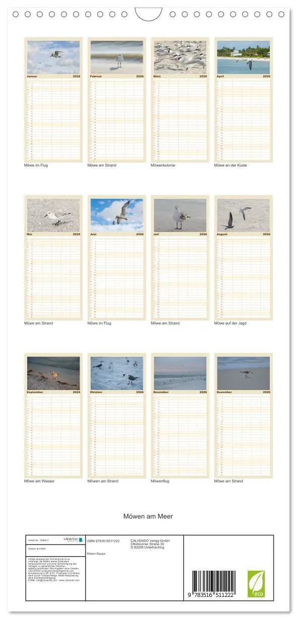 Bild: 9783516511222 | Familienplaner 2026 - Möwen am Meer mit 5 Spalten (Wandkalender, 21...