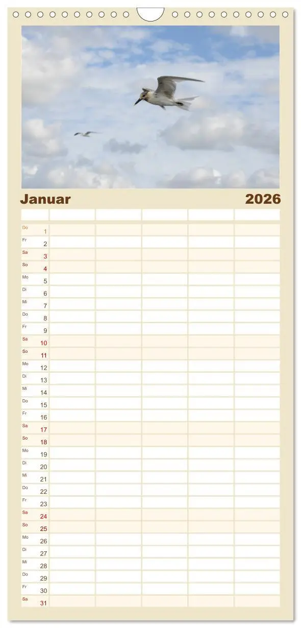 Bild: 9783516511222 | Familienplaner 2026 - Möwen am Meer mit 5 Spalten (Wandkalender, 21...