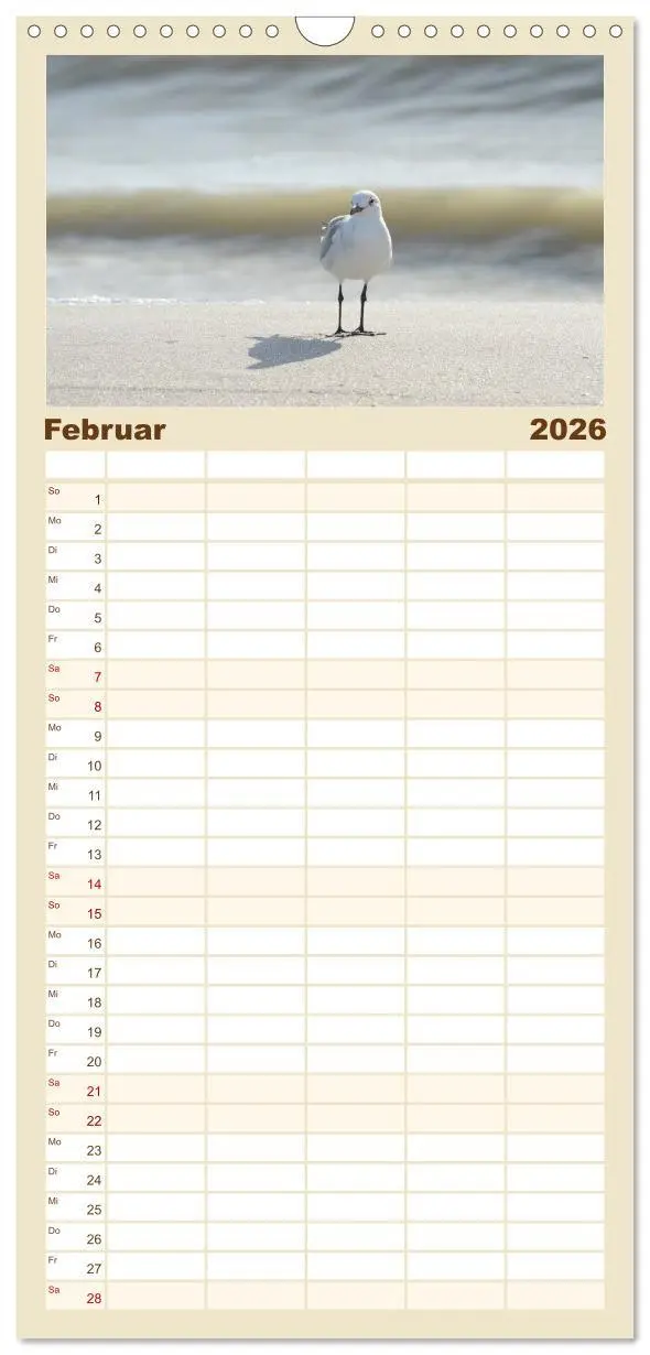 Bild: 9783516511222 | Familienplaner 2026 - Möwen am Meer mit 5 Spalten (Wandkalender, 21...
