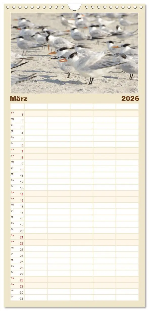 Bild: 9783516511222 | Familienplaner 2026 - Möwen am Meer mit 5 Spalten (Wandkalender, 21...