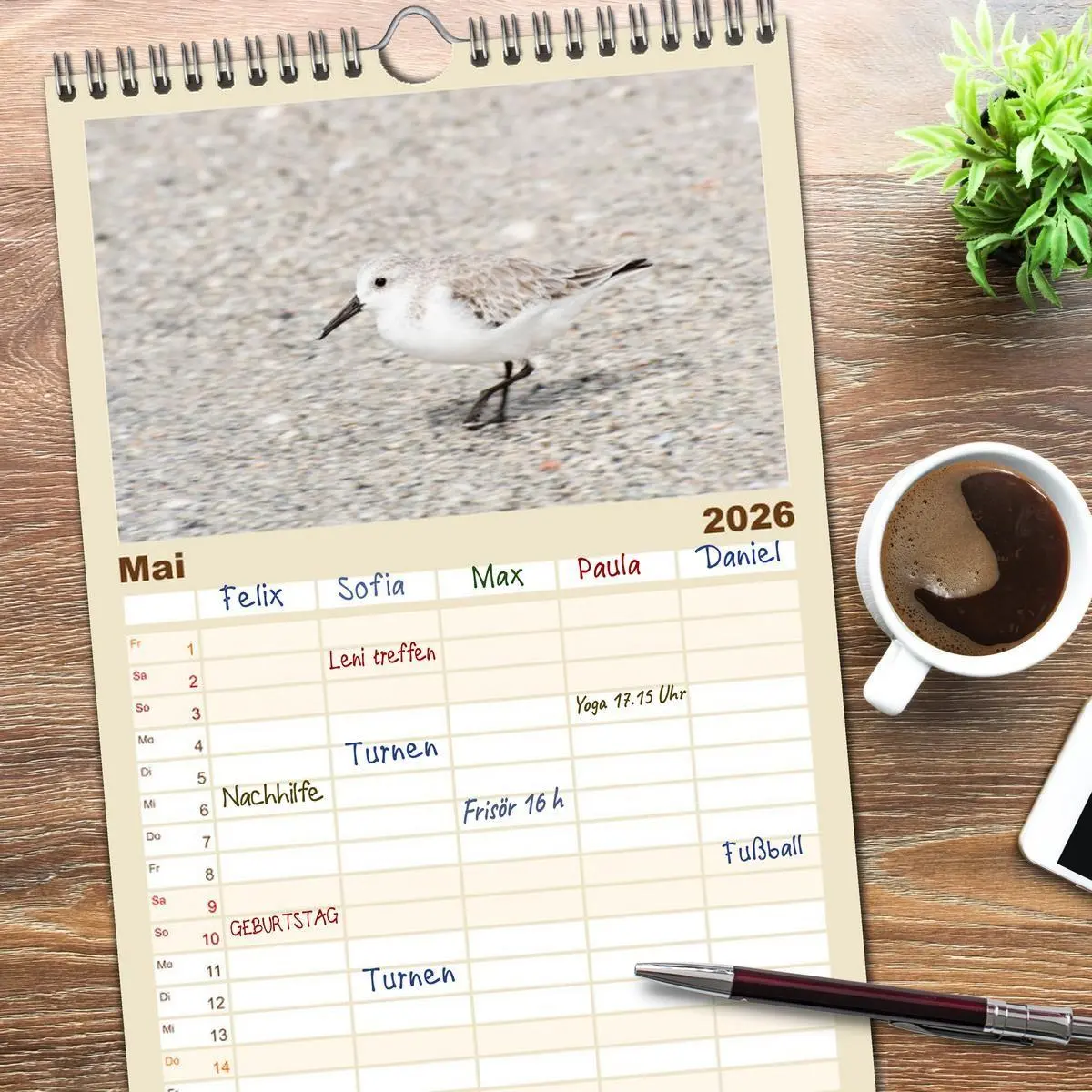 Bild: 9783516511222 | Familienplaner 2026 - Möwen am Meer mit 5 Spalten (Wandkalender, 21...