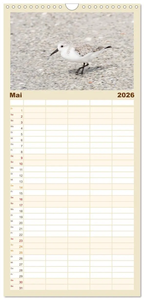 Bild: 9783516511222 | Familienplaner 2026 - Möwen am Meer mit 5 Spalten (Wandkalender, 21...