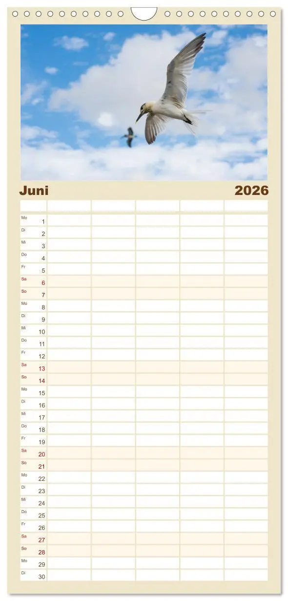 Bild: 9783516511222 | Familienplaner 2026 - Möwen am Meer mit 5 Spalten (Wandkalender, 21...