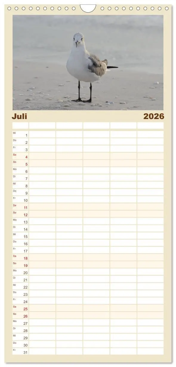 Bild: 9783516511222 | Familienplaner 2026 - Möwen am Meer mit 5 Spalten (Wandkalender, 21...