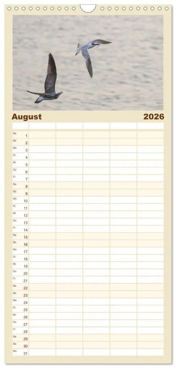 Bild: 9783516511222 | Familienplaner 2026 - Möwen am Meer mit 5 Spalten (Wandkalender, 21...