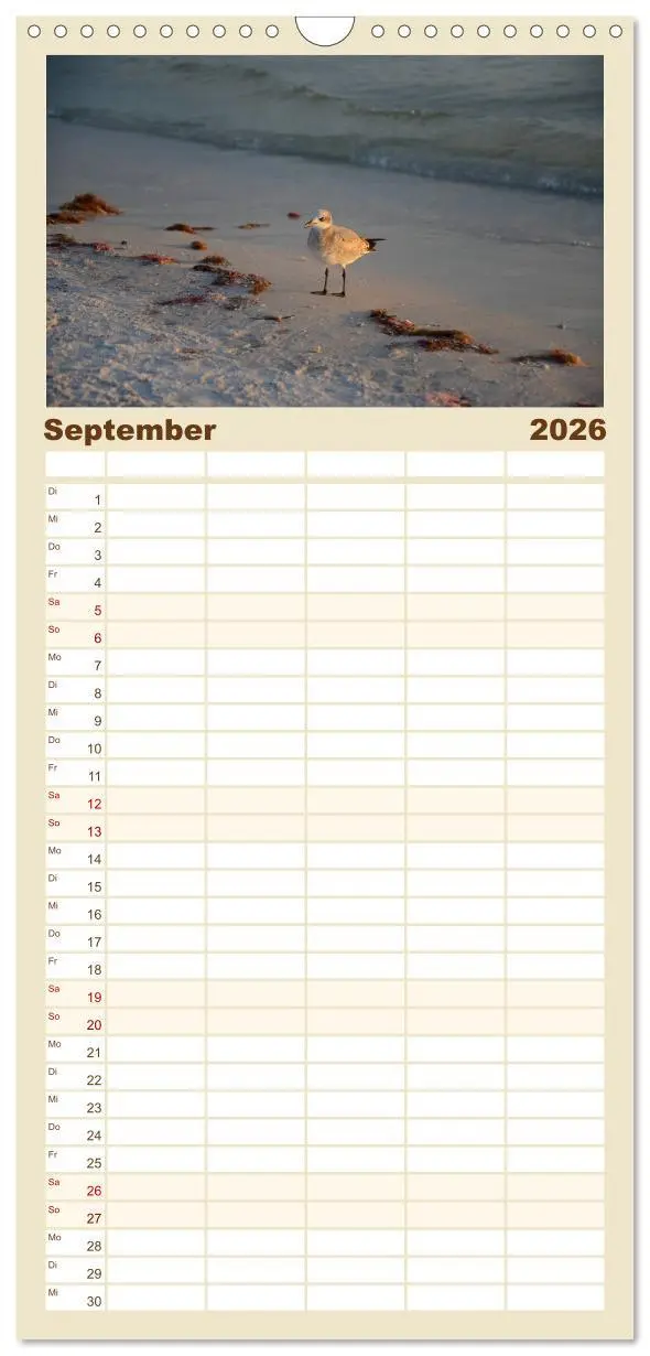 Bild: 9783516511222 | Familienplaner 2026 - Möwen am Meer mit 5 Spalten (Wandkalender, 21...