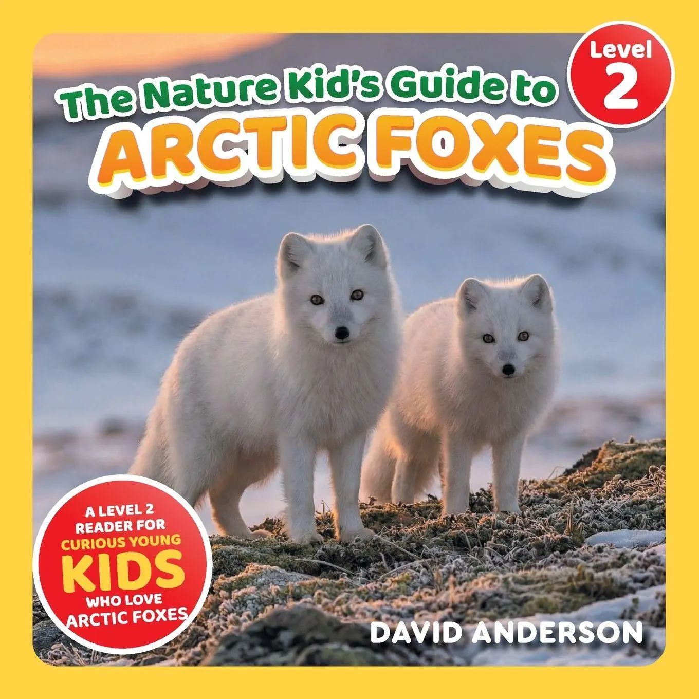 Cover: 9798898181222 | The Nature Kid's Guide to Arctic Foxes | David Anderson | Taschenbuch