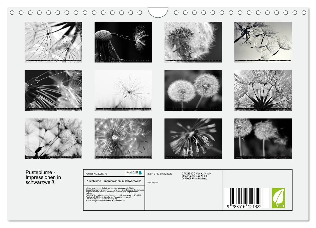 Bild: 9783516121322 | Pusteblume - Impressionen in schwarzweiß (Wandkalender 2026 DIN A4...