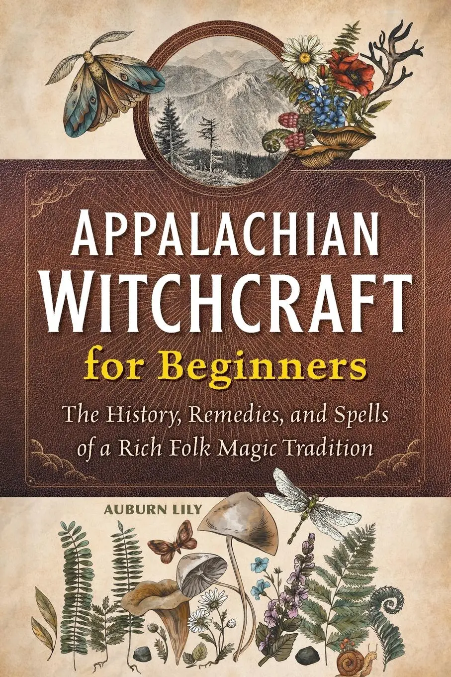 Cover: 9798886501322 | Appalachian Witchcraft for Beginners | Auburn Lily | Taschenbuch