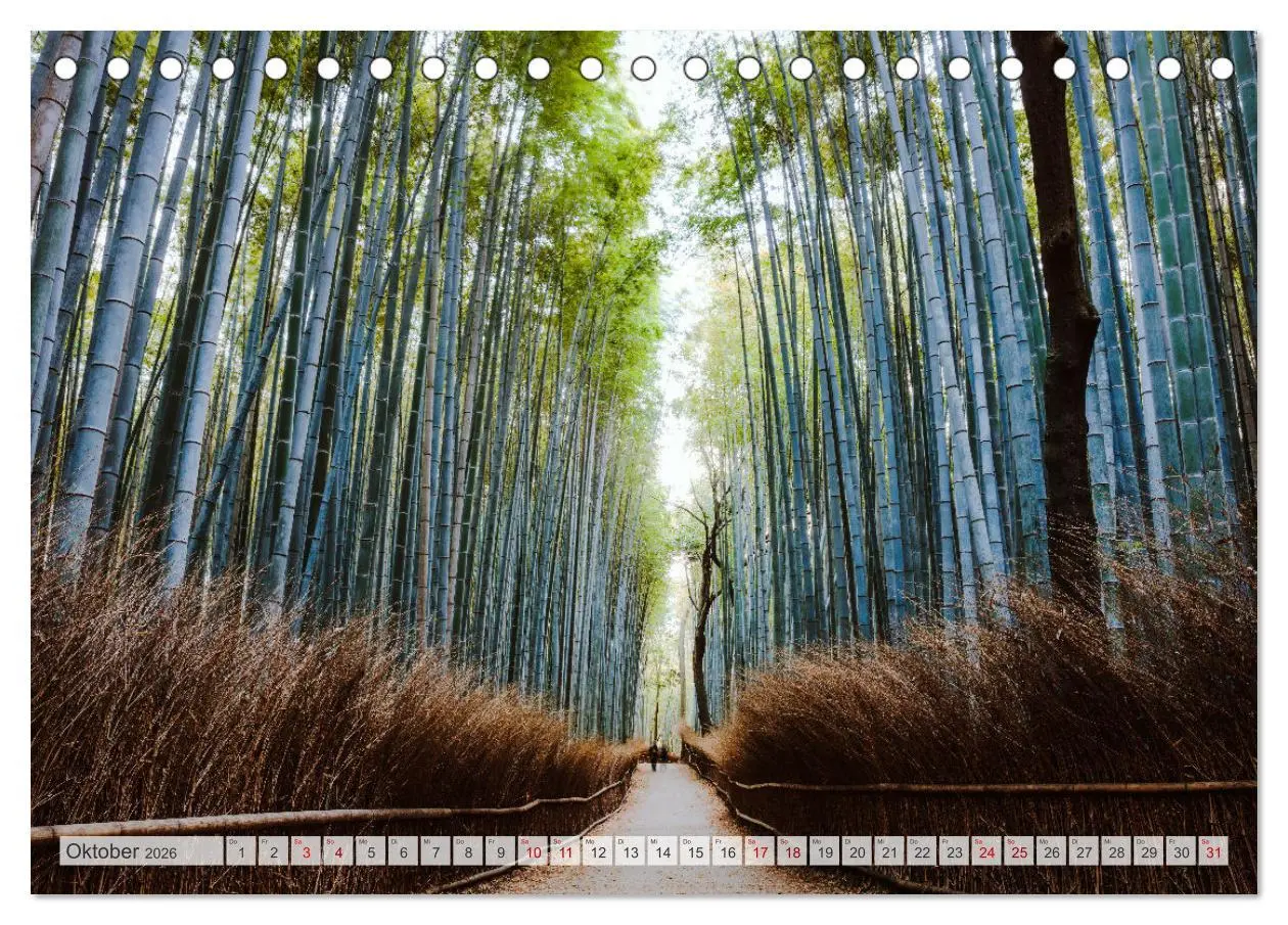 Bild: 9783457571422 | Wälder der Welt (Tischkalender 2026 DIN A5 quer), CALVENDO...