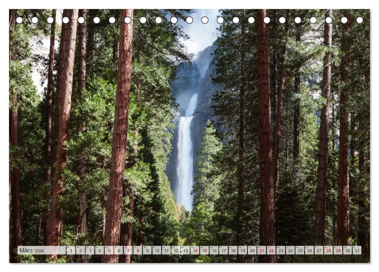Bild: 9783457571422 | Wälder der Welt (Tischkalender 2026 DIN A5 quer), CALVENDO...