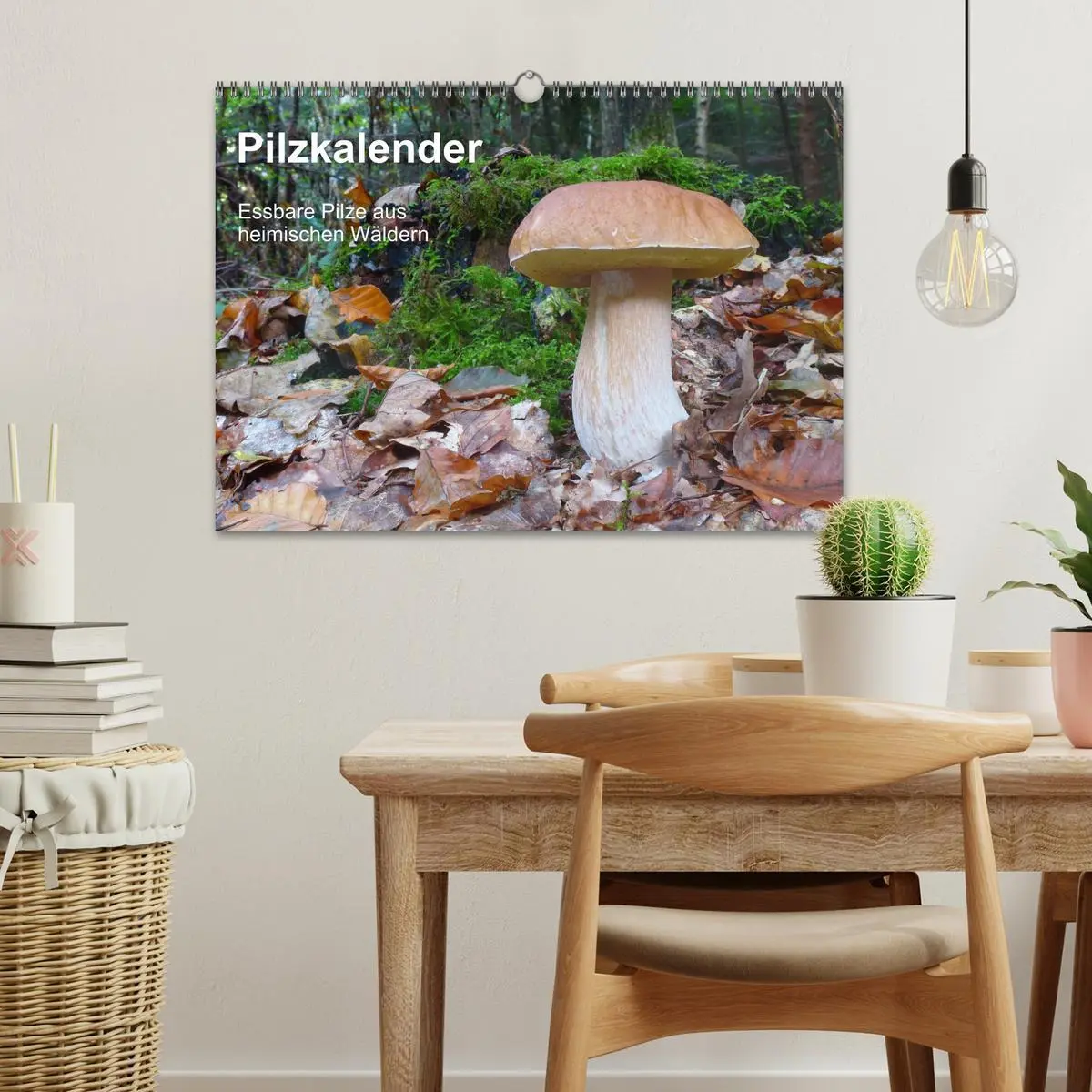 Bild: 9783516111422 | Pilzkalender (Wandkalender 2026 DIN A3 quer), CALVENDO Monatskalender