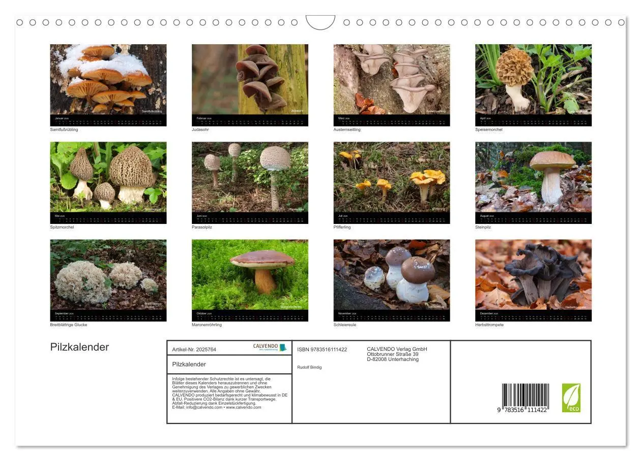 Bild: 9783516111422 | Pilzkalender (Wandkalender 2026 DIN A3 quer), CALVENDO Monatskalender