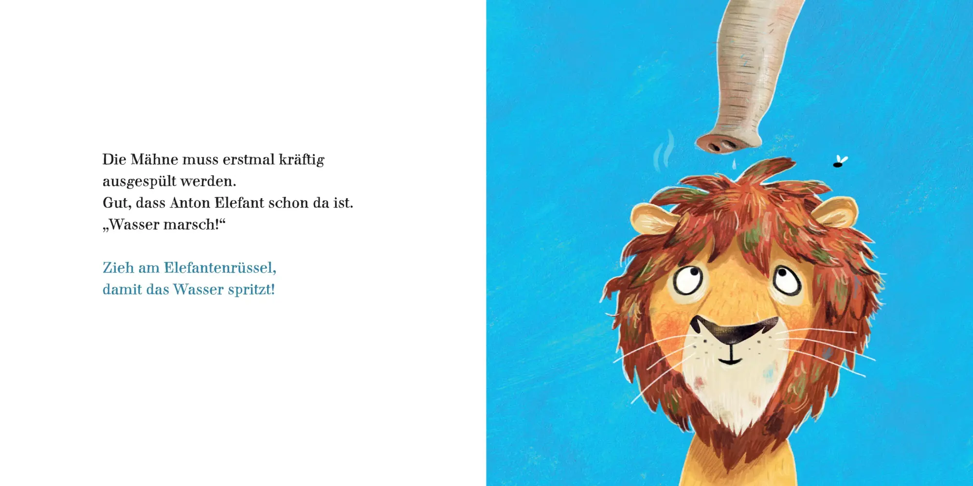 Bild: 9783833911422 | Hilf dem Löwen Haare waschen | Sophie Schoenwald | Buch | 26 S. | 2026