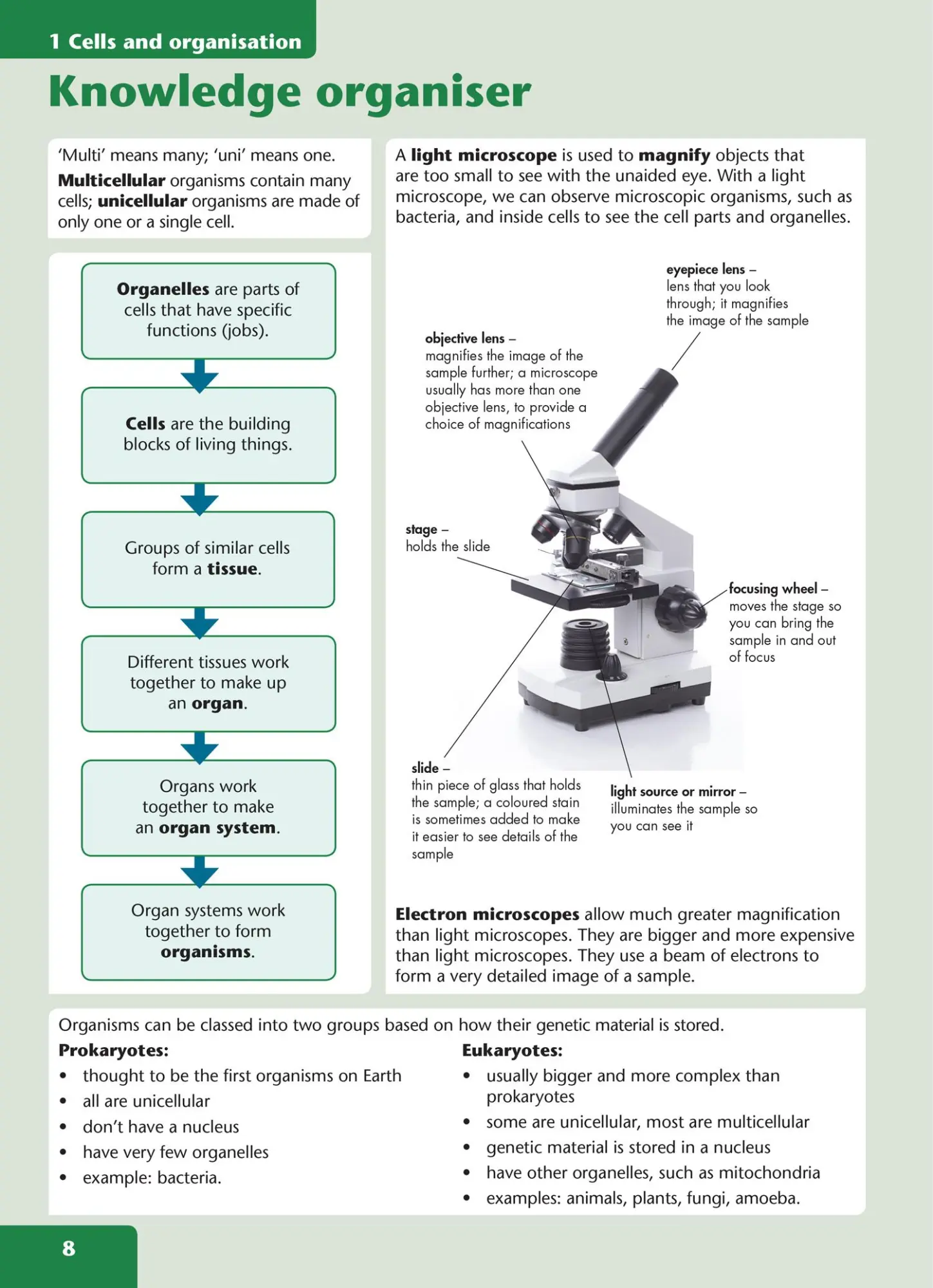 Bild: 9780008531522 | Ks3 Science Now | Tracey Baxter | Taschenbuch | Englisch | 2022