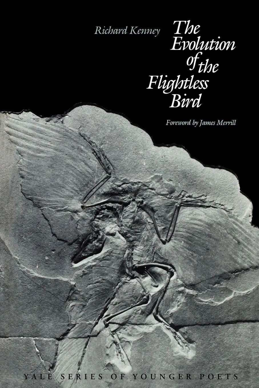 Cover: 9780300031522 | The Evolution of the Flightless Bird | Richard Kenney | Taschenbuch