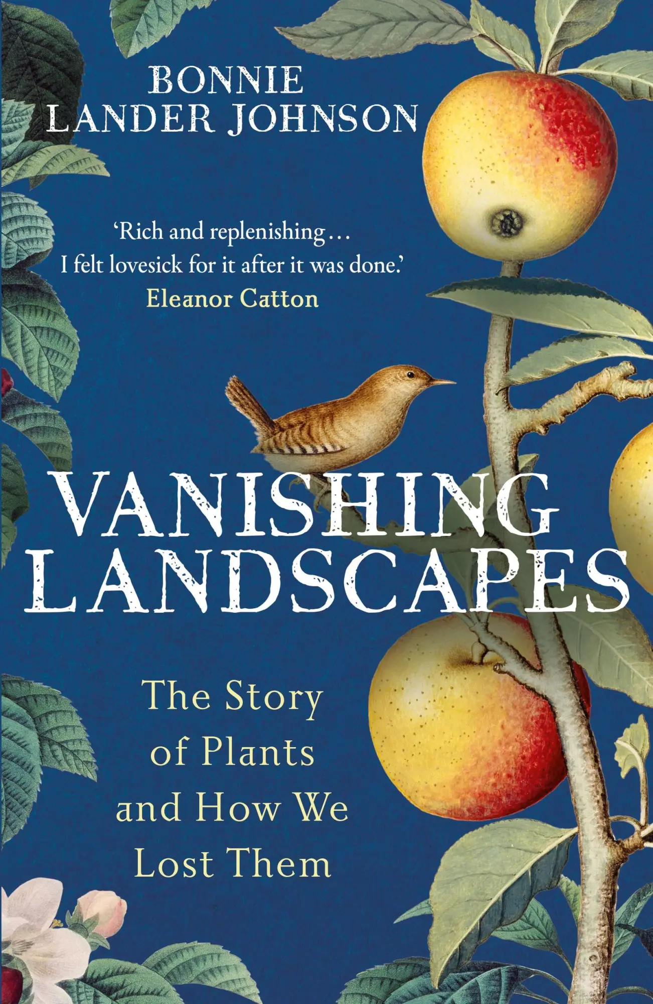 Cover: 9781399731522 | Vanishing Landscapes | The Story of Plants and How We Lost Them | Buch