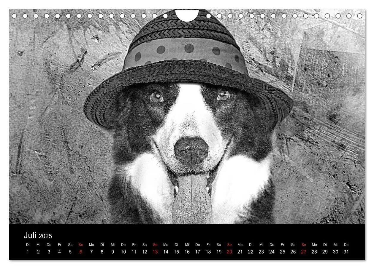 Bild: 9783435781522 | Hütehunde (Wandkalender 2025 DIN A4 quer), CALVENDO Monatskalender
