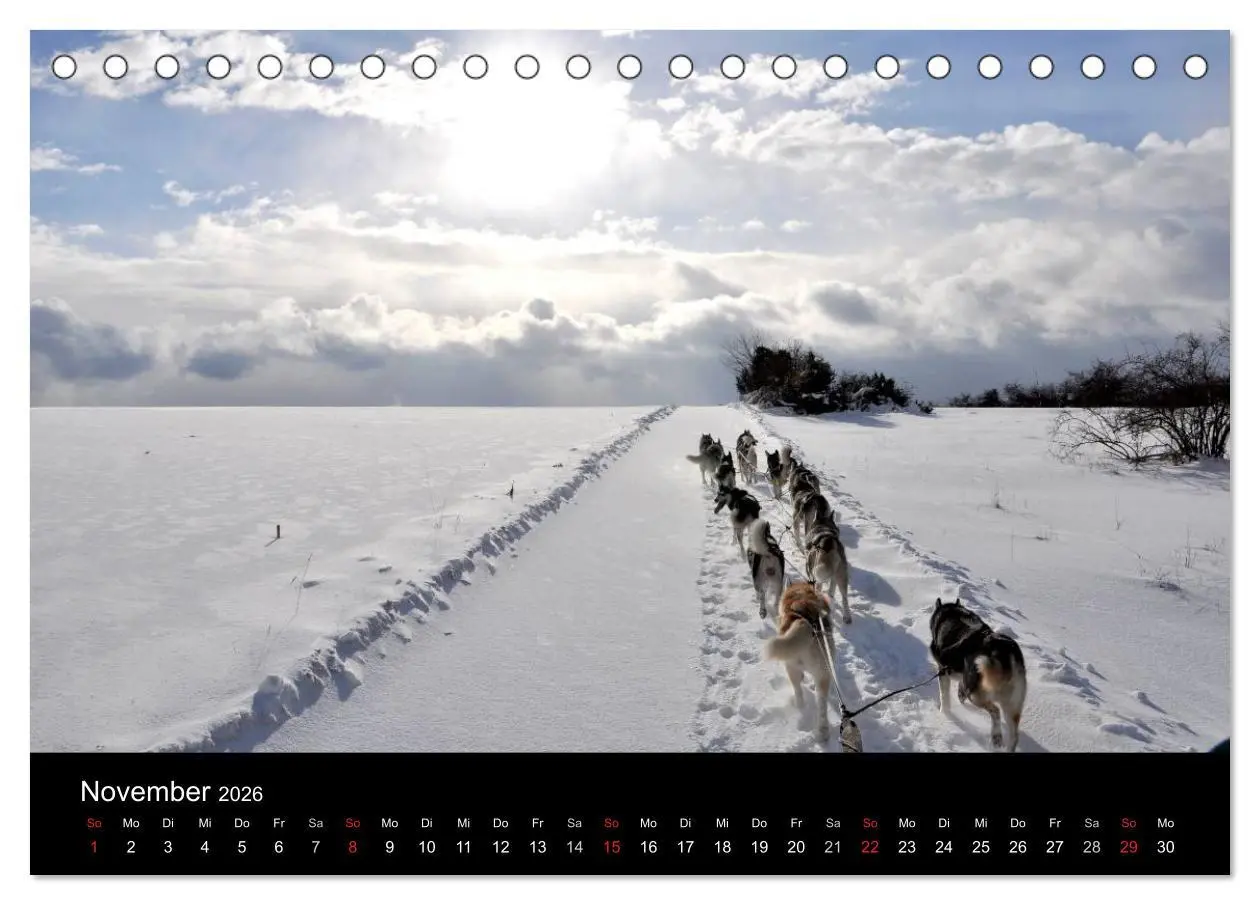 Bild: 9783516101522 | Sibirische Huskys aus Deutschland (Tischkalender 2026 DIN A5 quer),...