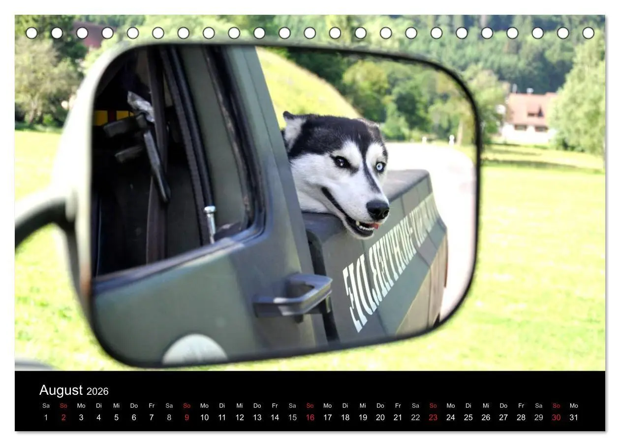 Bild: 9783516101522 | Sibirische Huskys aus Deutschland (Tischkalender 2026 DIN A5 quer),...