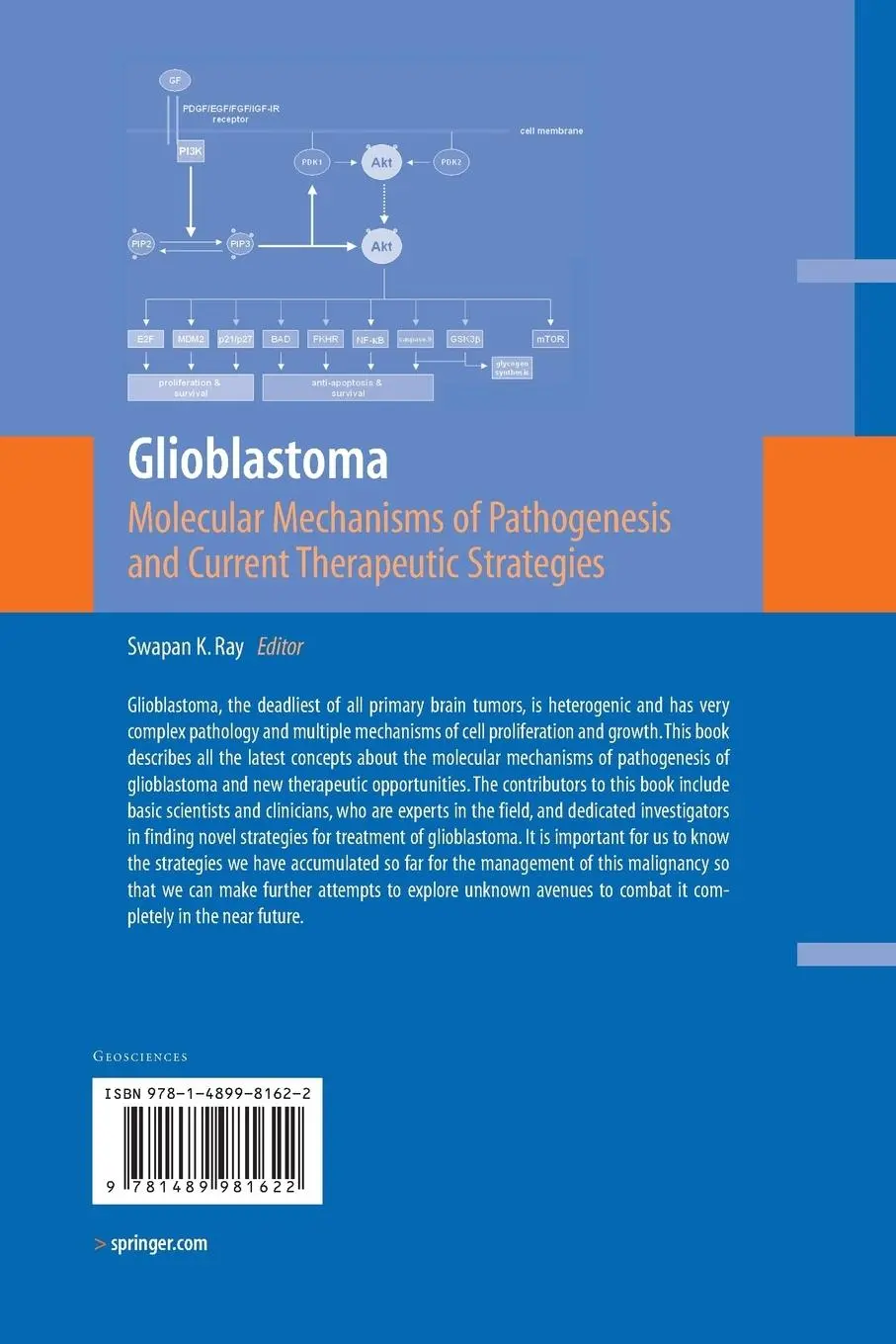Rückseite: 9781489981622 | Glioblastoma: | Swapan K. Ray | Taschenbuch | xi | Englisch | 2014