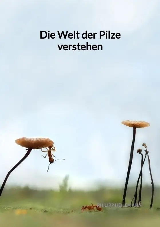Cover: 9783347971622 | Die Welt der Pilze verstehen | Philipp Heilemann | Taschenbuch | 88 S.