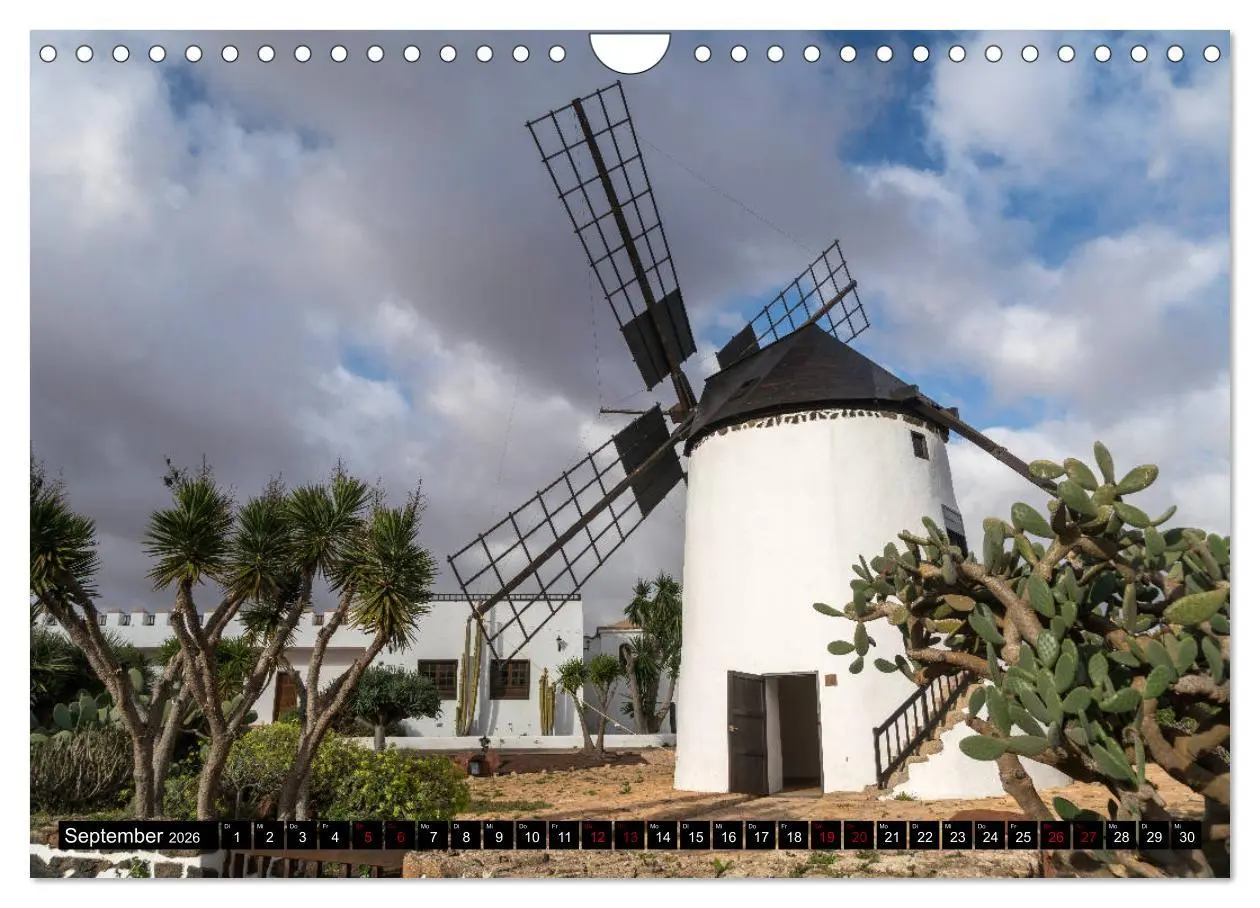 Bild: 9783457861622 | Fuerteventura (Wandkalender 2026 DIN A4 quer), CALVENDO Monatskalender