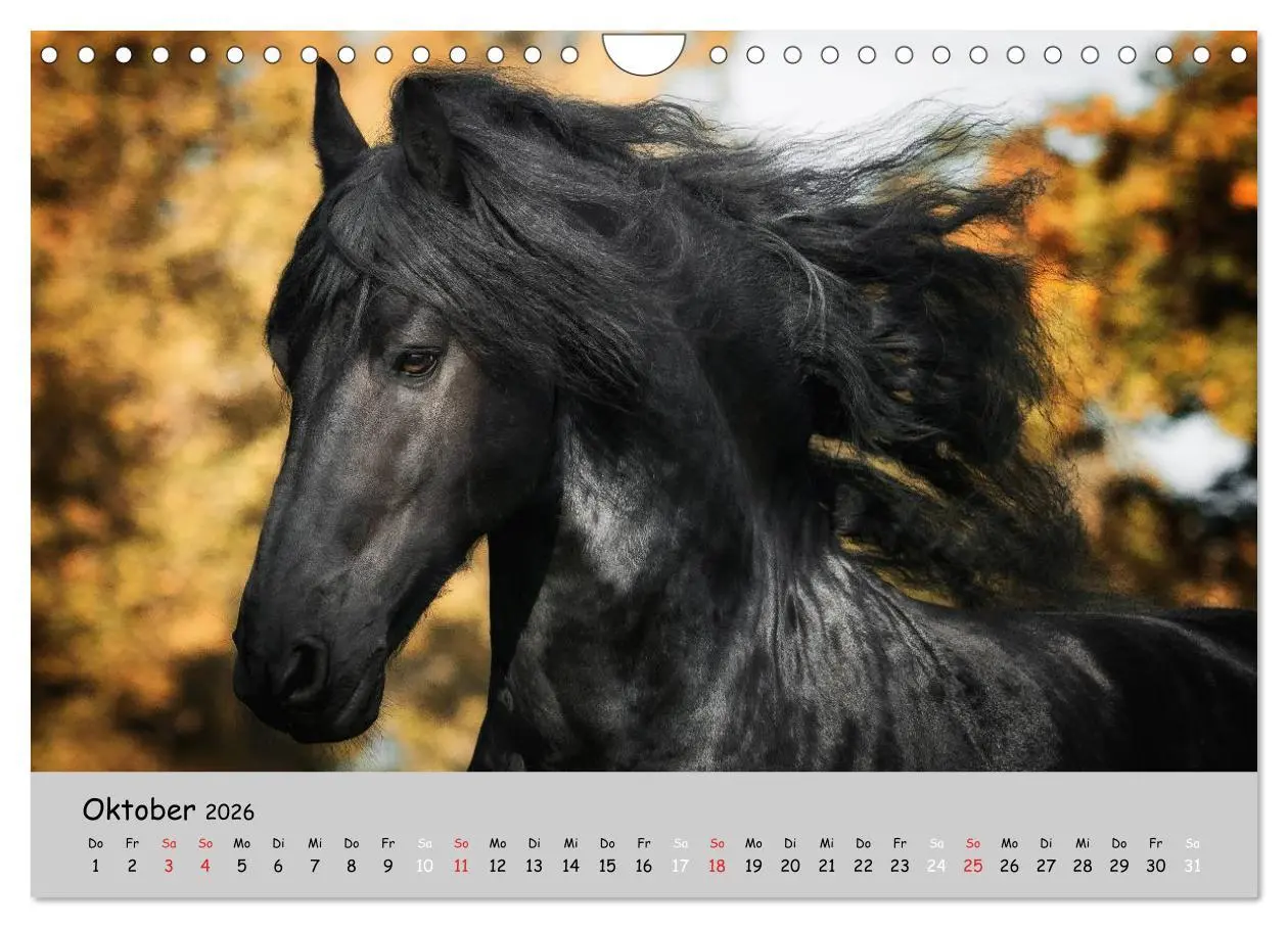 Bild: 9783516021622 | Pferde - Anmut und Stärke gepaart mit Magie (Wandkalender 2026 DIN...