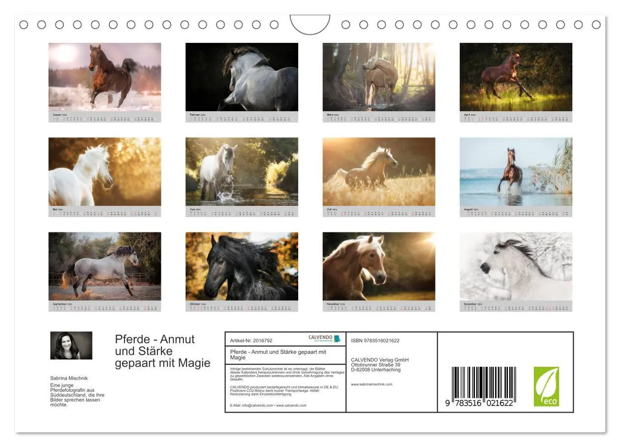Bild: 9783516021622 | Pferde - Anmut und Stärke gepaart mit Magie (Wandkalender 2026 DIN...