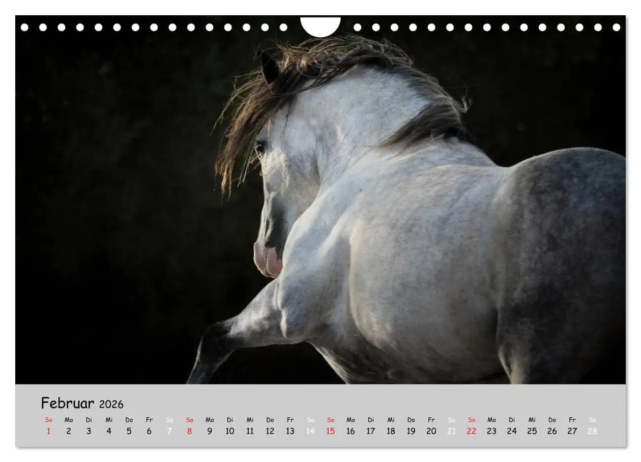 Bild: 9783516021622 | Pferde - Anmut und Stärke gepaart mit Magie (Wandkalender 2026 DIN...