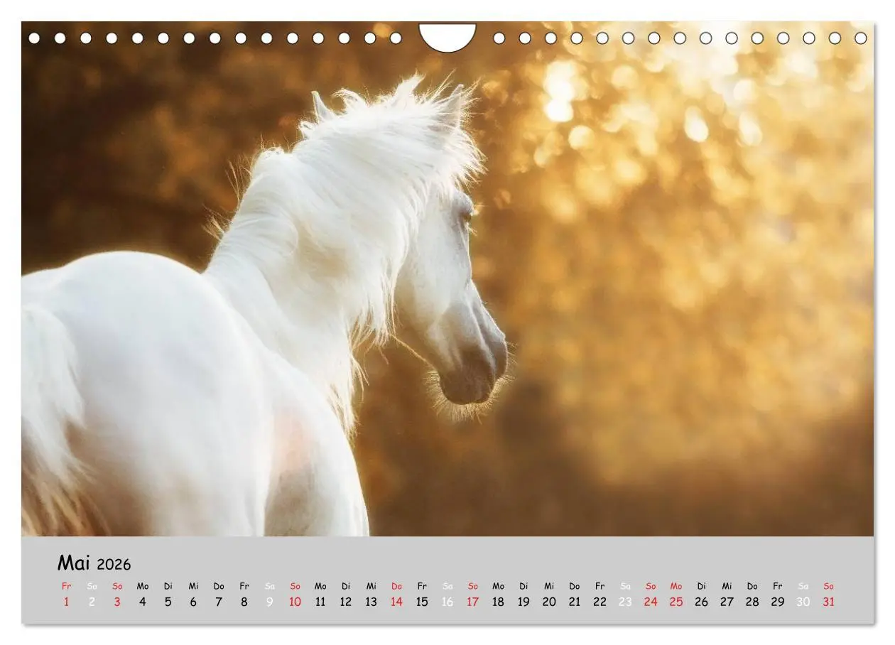 Bild: 9783516021622 | Pferde - Anmut und Stärke gepaart mit Magie (Wandkalender 2026 DIN...