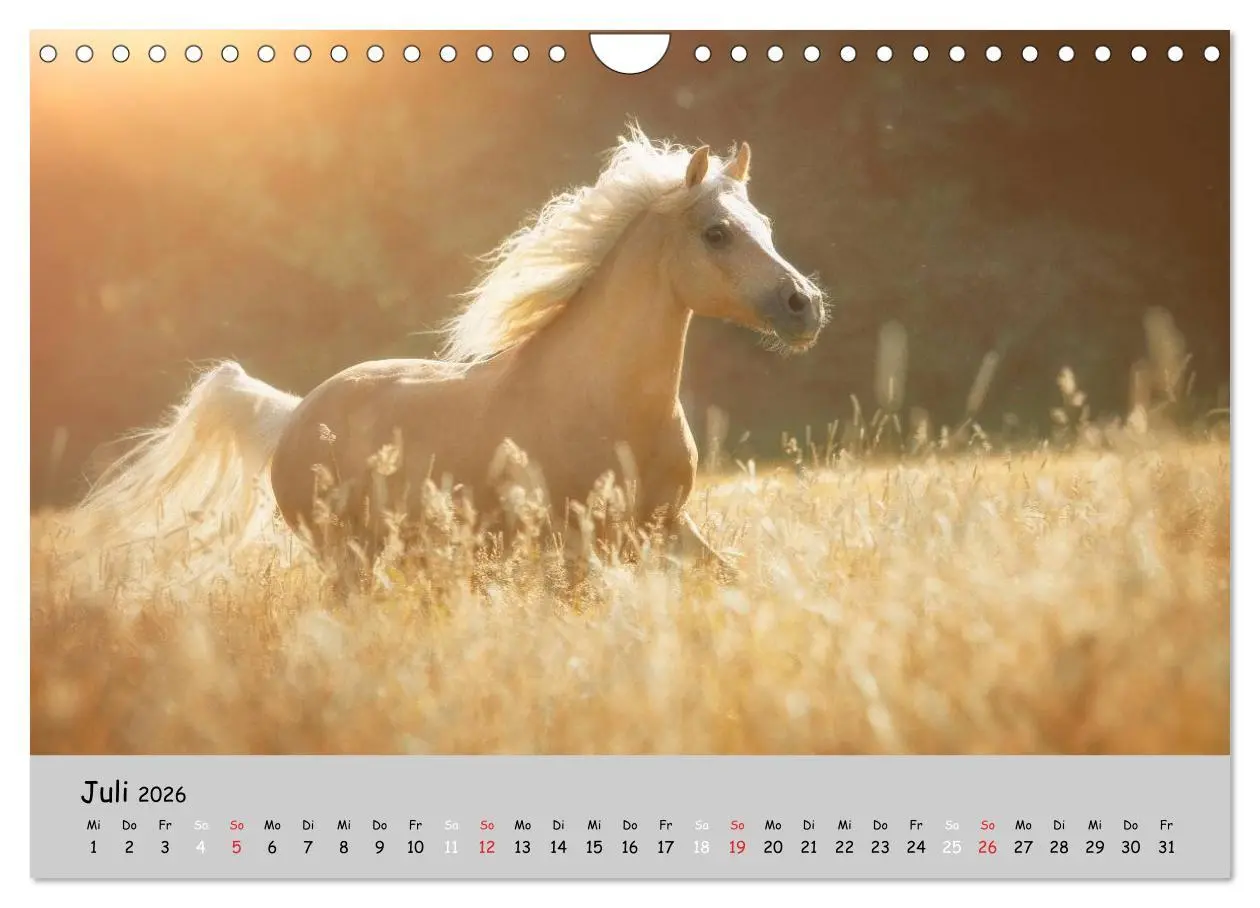 Bild: 9783516021622 | Pferde - Anmut und Stärke gepaart mit Magie (Wandkalender 2026 DIN...