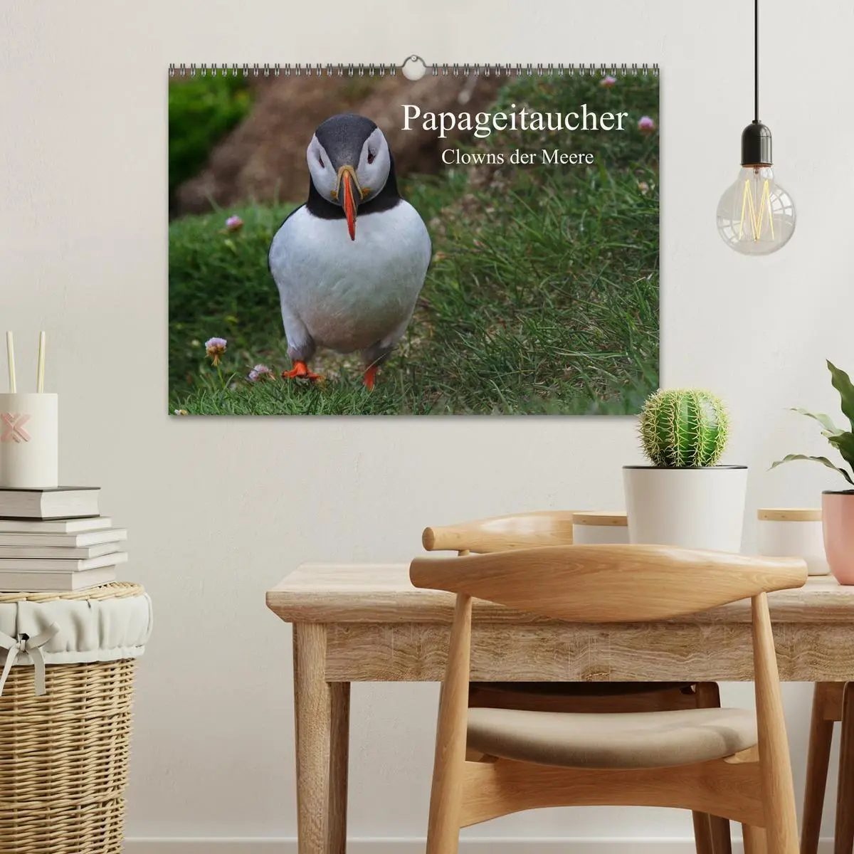 Bild: 9783516191622 | Papageitaucher Clowns der Meere (Wandkalender 2026 DIN A3 quer),...