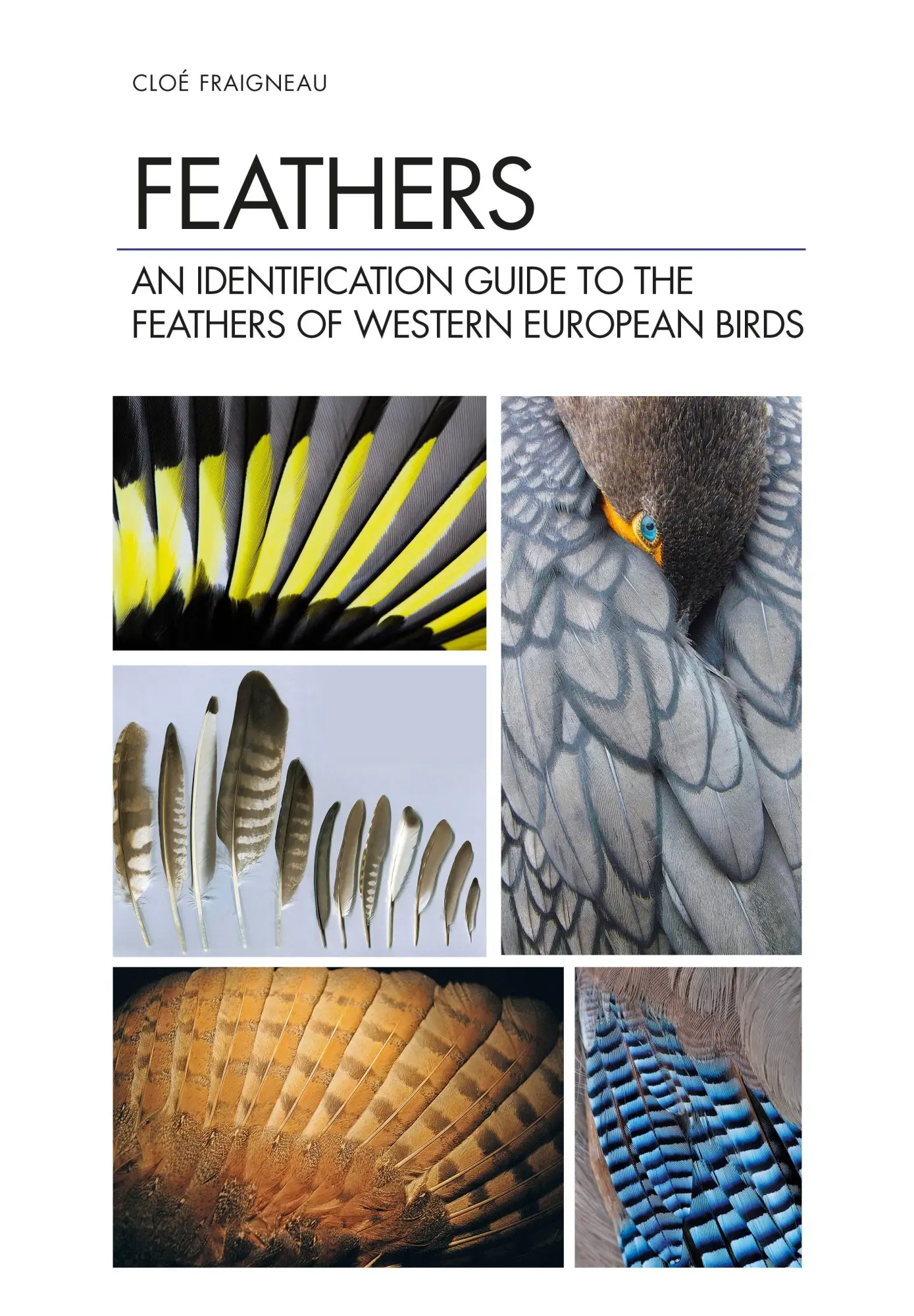 Cover: 9781472971722 | Feathers | Cloé Fraigneau | Buch | Gebunden | Englisch | 2022