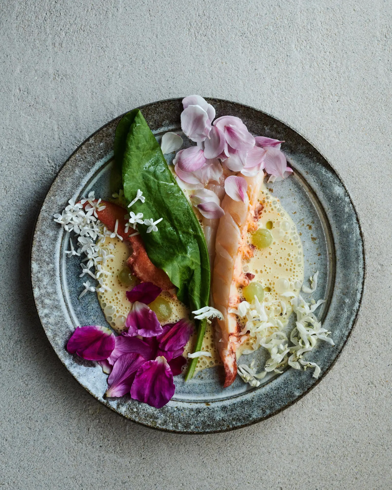 Bild: 9781648291722 | Noma 2.0 | Vegetable, Forest, Ocean | René Redzepi (u. a.) | Buch