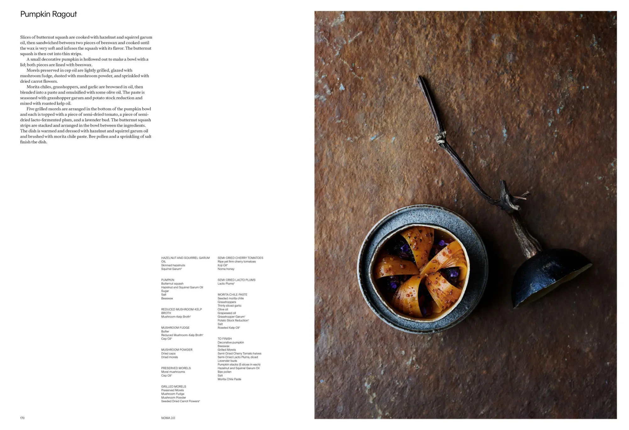 Bild: 9781648291722 | Noma 2.0 | Vegetable, Forest, Ocean | René Redzepi (u. a.) | Buch