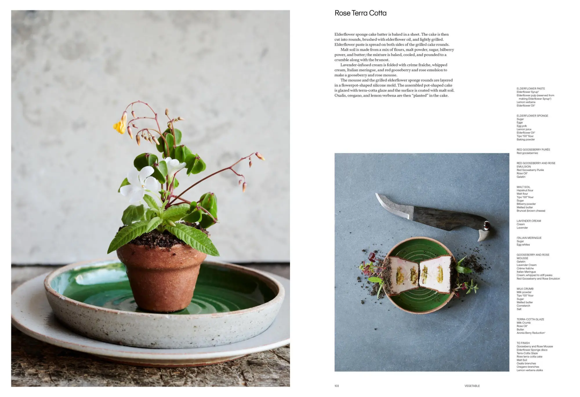 Bild: 9781648291722 | Noma 2.0 | Vegetable, Forest, Ocean | René Redzepi (u. a.) | Buch